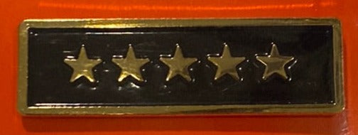 Multi Star Bar Pin