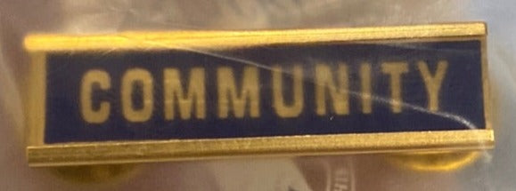 Community Bar Pin