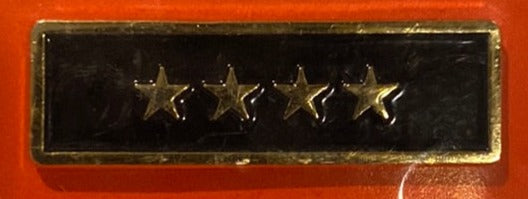 Multi Star Bar Pin