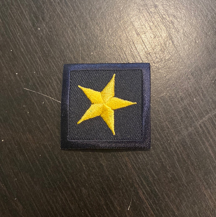 Gold Star on Navy CTab