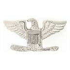 Colonel Eagle Pin